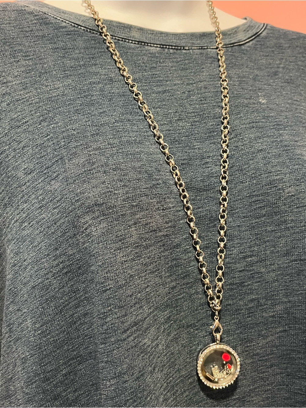 Dog Lover Silver-Tone Locket Pendant Necklace with Red Accent